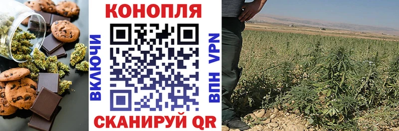 Canna-Cookies конопля  Энем 
