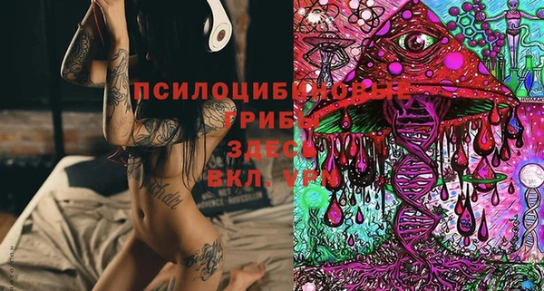 apvp Новокубанск