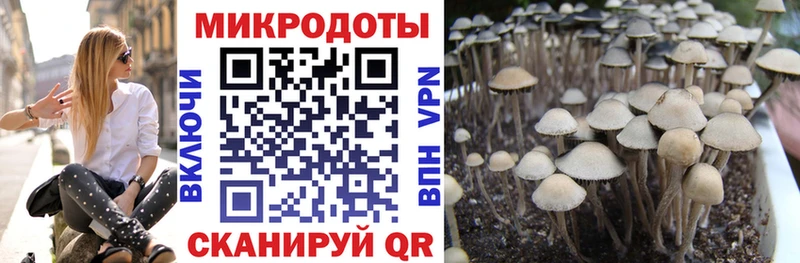 Галлюциногенные грибы MAGIC MUSHROOMS  Энем 